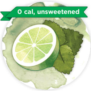 Bevi Flavor Concentrate, Lime Mint Unsweetened, 1 gal box Bevi Flavor Concentrate, Lime Mint Unsweetened, 1 gal box