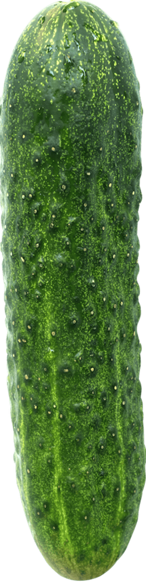 Cucumber, 1 ct Cucumber, 1 ct
