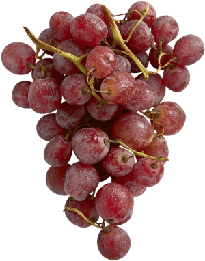Grapes, 1.9 lb bag Grapes, 1.9 lb bag