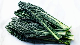 Lacinato Kale Lacinato Kale