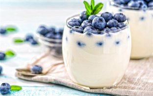 Blueberry Yogurt
