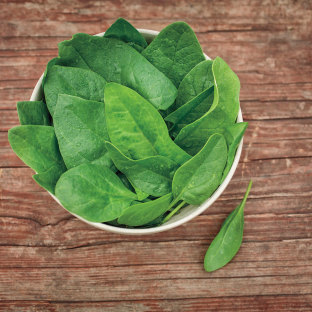 Baby Spinach Baby Spinach