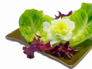 Lettuce Cups
