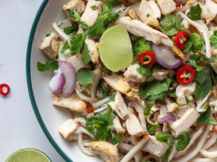 Udon Noodle Salad Udon Noodle Salad