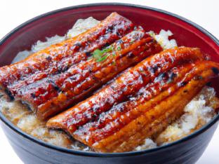 Grilled Eel Rice Bowl