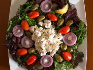 Vegetarian Entree Greek Salad with Lemon Olive Oil Dressing Vegetarian Entree Greek Salad with Lemon Olive Oil Dressing