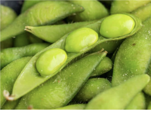 Edamame