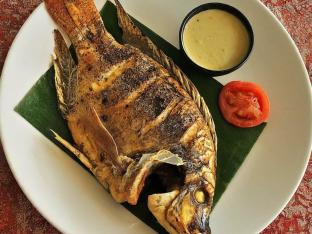 Tilapia with side of Coconut Sauce