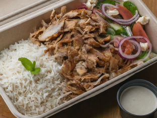 Gyro Plate Gyro Plate