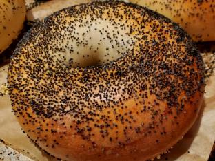 Whole Wheat Poppy Bagel