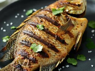 Tilapia Tilapia
