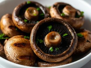 Portobello Mushroom Portobello Mushroom