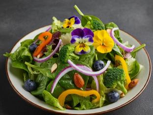 Garden Salad Garden Salad