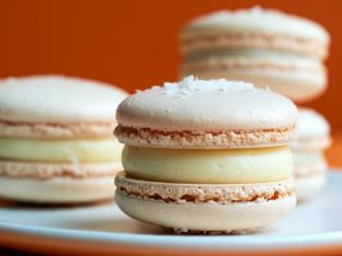 Coconut Macaron Coconut Macaron
