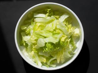 Shredded Lettuce Shredded Lettuce