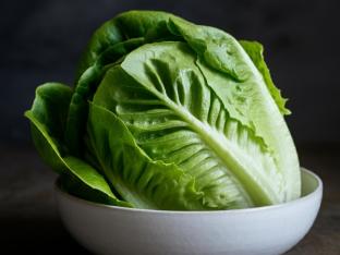 Butter Lettuce