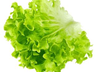 Green Leaf Lettuce