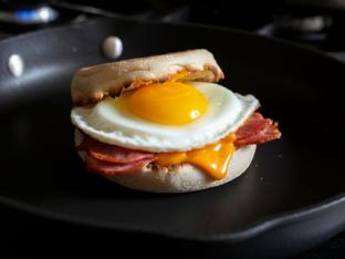 Egg and Cheese Sammy