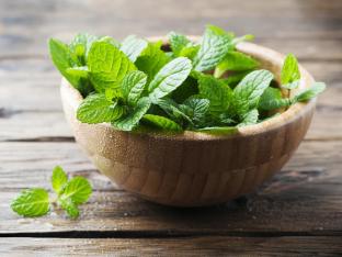 Mint Mint