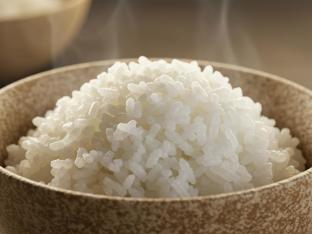 Rice Rice
