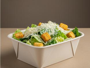 Big Caesar Salad