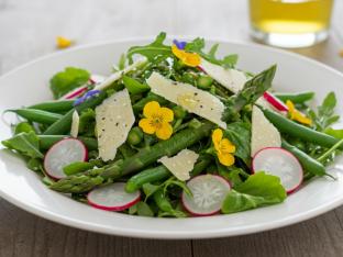 Spring Salad: Arugula, Asparagus, Green Bean, Radish, & Parmesan Spring Salad: Arugula, Asparagus, Green Bean, Radish, & Parmesan