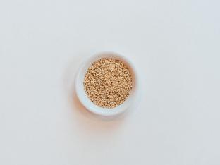 Sesame Seeds Sesame Seeds