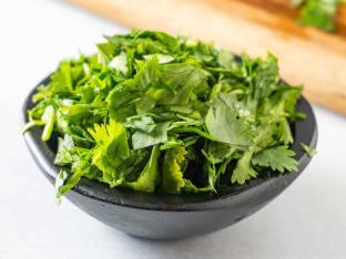 Cilantro Cilantro