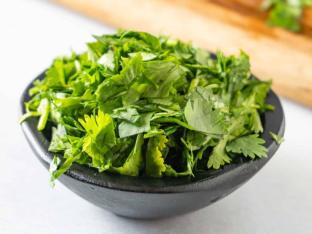 Cilantro Cilantro