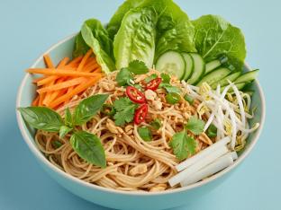 Vermicelli Noodle Salad Base Vermicelli Noodle Salad Base