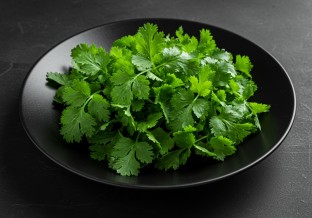 Cilantro