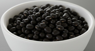 Black Bean