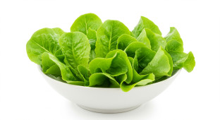 Lettuce Leaves