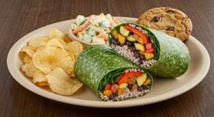 Veggie Wrap and Pasta Salad Meal