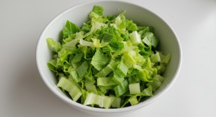 Iceberg Lettuce