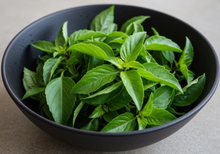 Thai Basil