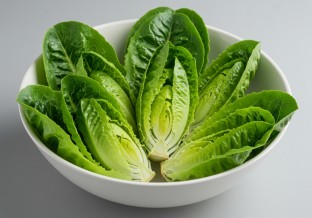 Extra Crisp Romaine