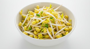 Bean Sprouts