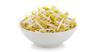 Bean Sprout