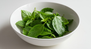 Thai Basil