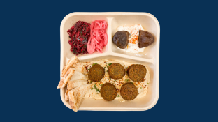 Falafel Vegan Bowl with Pita