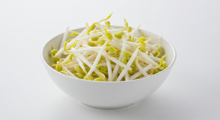 Bean Sprouts