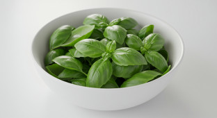 Basil