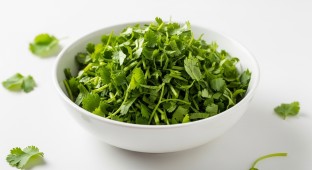 Cilantro