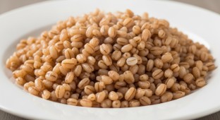 Barley