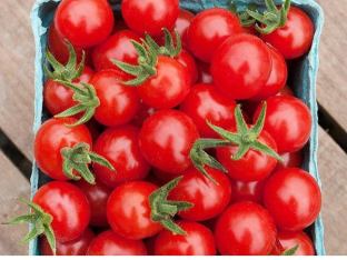 Electrode (Cherry Tomatoes)