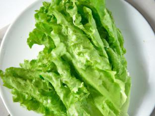 Green Leaf Lettuce