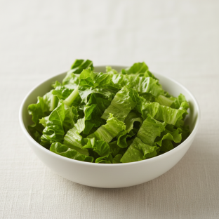 Romaine Lettuce Romaine Lettuce
