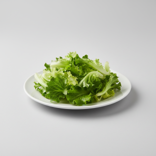 Green Leaf Lettuce