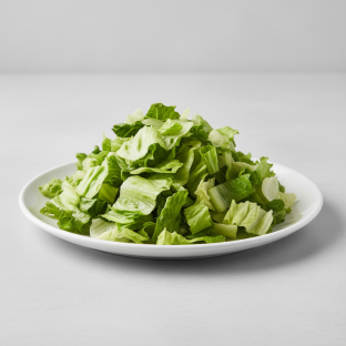 Iceberg and Romaine Lettuce Iceberg and Romaine Lettuce